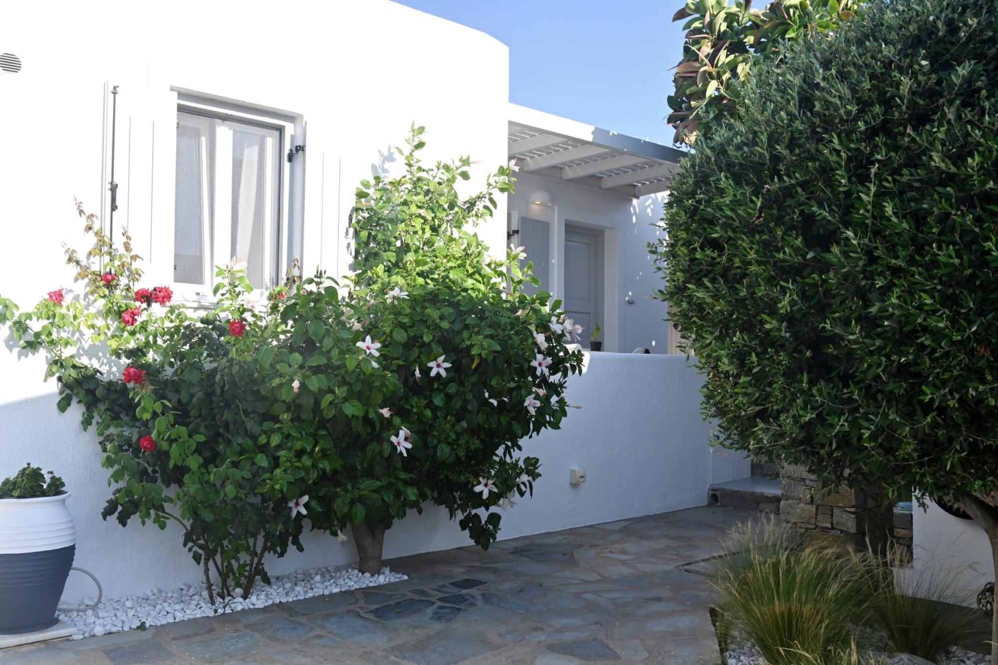 Corina Studios-Apartments Náousa Exterior foto